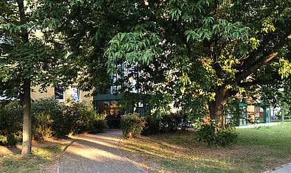 Weg mit Sonnenlicht, das durch dichte grüne Baumkronen scheint.