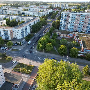 Luftaufnahme von Lichtenhagen mit Blick auf die Güstrower und Parchimer Straße mit mehrstöckigen Plattenbauten, Straßen mit parkenden Autos und vielen Bäumen