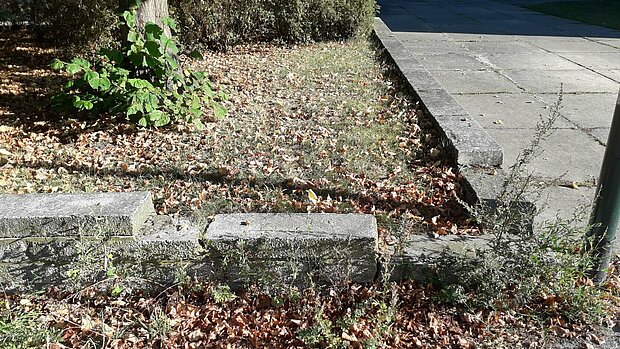 Trostloses Hochbeet mit beschädigter Steinumrandung